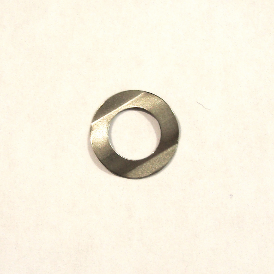 AVP-19821 Washer-Spring
