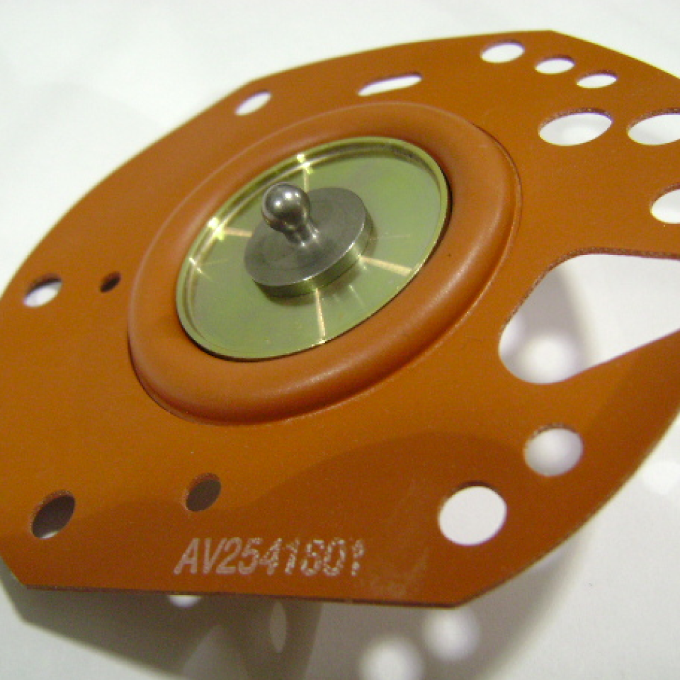 AV2541801 Diaphragm Assy Fuel