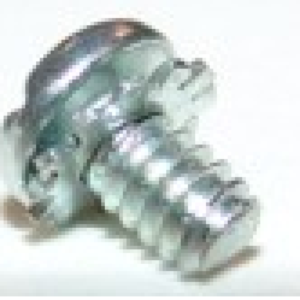 AV15-483 Butterfly Screw